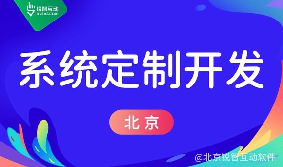 九游网页版登录入口的软件定制开发公司的技术实力如何？
