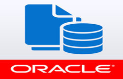 Oracle数据库管理工具有哪些?-北京九游网页版登录入口公司