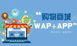 手机商城app九游网页版登录入口流程-北京九游网页版登录入口外包公司