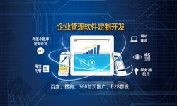 Erp九游网页版登录入口的发展现状-北京九游网页版登录入口公司九游网页版登录入口