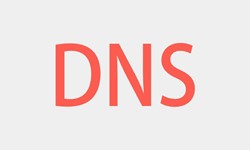 北京九游网页版登录入口、DNS的基本概念、北京九游网页版登录入口九游网页版登录入口