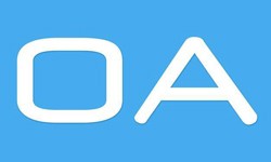 软件外包公司、OA系统开发功能有哪些？费用是多少-九游网页版登录入口公司[北京九游网页版登录入口]