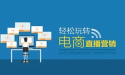 九游网页版登录入口公司、做一个直播系统九游网页版登录入口需要多少钱-北京软件外包公司