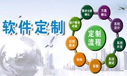 定制九游网页版登录入口现在来说还有优势吗？北京软件外包