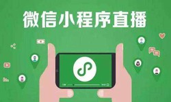 微信小程序开发、直播小程序开发-九游网页版登录入口九游网页版登录入口公司 