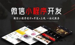 九游网页版登录入口公司、定制微信小程序开发，商家需要了解哪些？九游网页版登录入口九游网页版登录入口