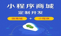 微信小程序开发、商城小程序开发功能-九游网页版登录入口九游网页版登录入口