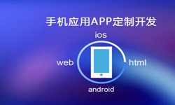 APP开发市场上常见问题分析-北京九游网页版登录入口公司